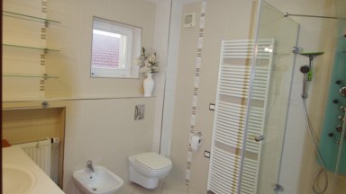 Prodej RD o výměře 501 m2 s pozemkem 1032 m2, garáž pro 4 auta v Pacově u Říčan 