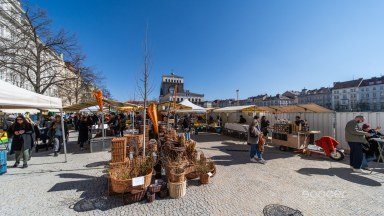 Pronájem bytu 2+kk, 50 m2, Praha 3 - Žižkov, ul. Ježkova.