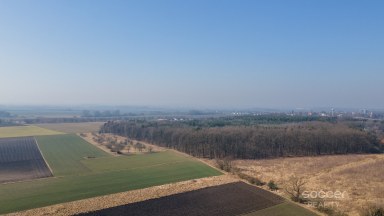 Prodej stavebního pozemku 1300 m2 v obci Záryby.