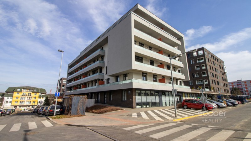 65946_1943009896.jpg