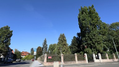 Pronájem kanceláře 15 m2, Praha 6 - Bubeneč, ul. Na Zátorce.