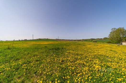 660496_1745929594.jpg