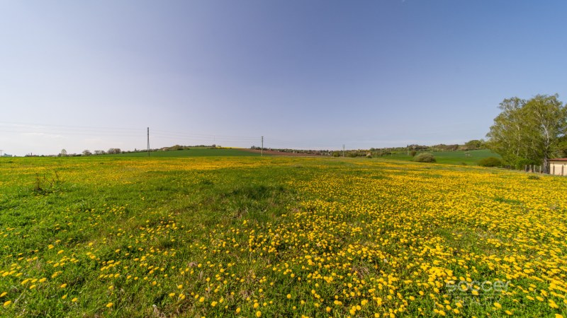 660496_1745929594.jpg