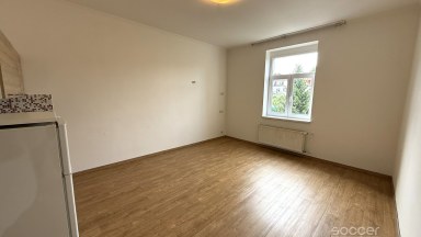 Pronájem světlého, prostorného bytu 1+kk, 42m2 v Praze 3- Jeseniova ul.