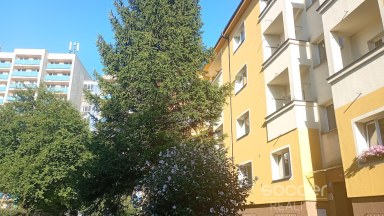 Pronájem bytu 1+kk/B, 28m2, Praha 3 - Žižkov, ul. Jeseniova.