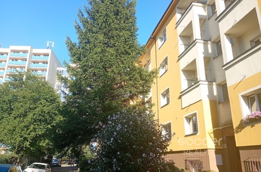 66310_4728210640.jpg