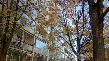 Pronájem krásného bytu 1+kk/L/S, 32 m2, Praha 4 - Krč, Milevská