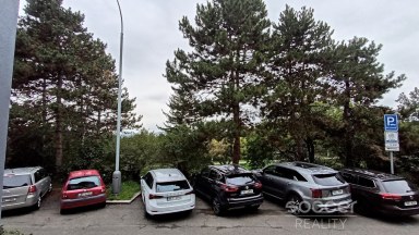 Pronájem krásného bytu 3+1/L, 78 m2. Praha 3 - Žižkov, Kunešova