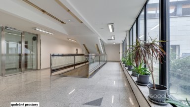 Pronájem tří kanceláří 114 m2 ulice Sokolovská