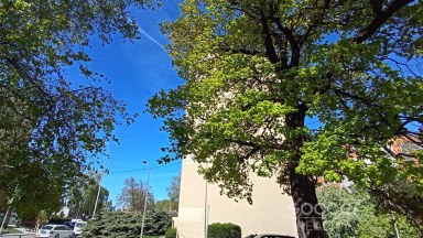Prodej bytu 2+kk/S, 43 m2, Odolena Voda, ul. V Malém háji