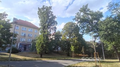 Pronájem bytu 1+kk, 22 m2, Praha 4 - Nusle, Na Jezerce